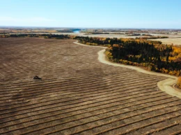 A brown field with a winding road