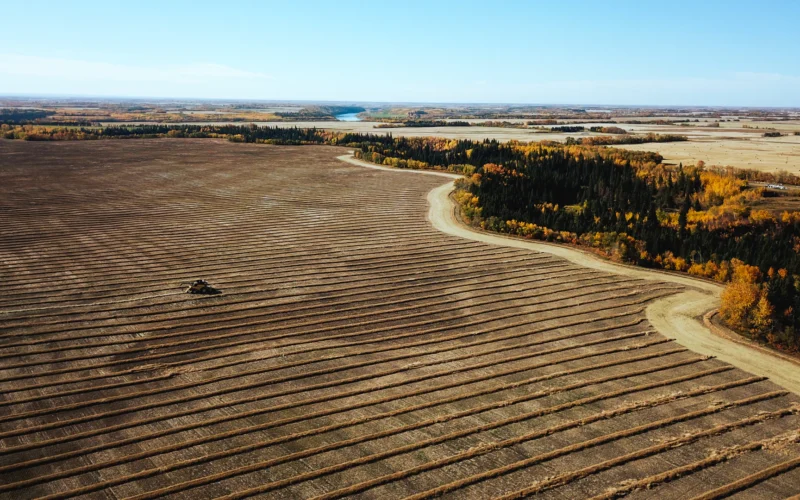 A brown field with a winding road