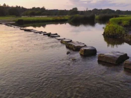A line of stepping stones sitting in the middle of a river