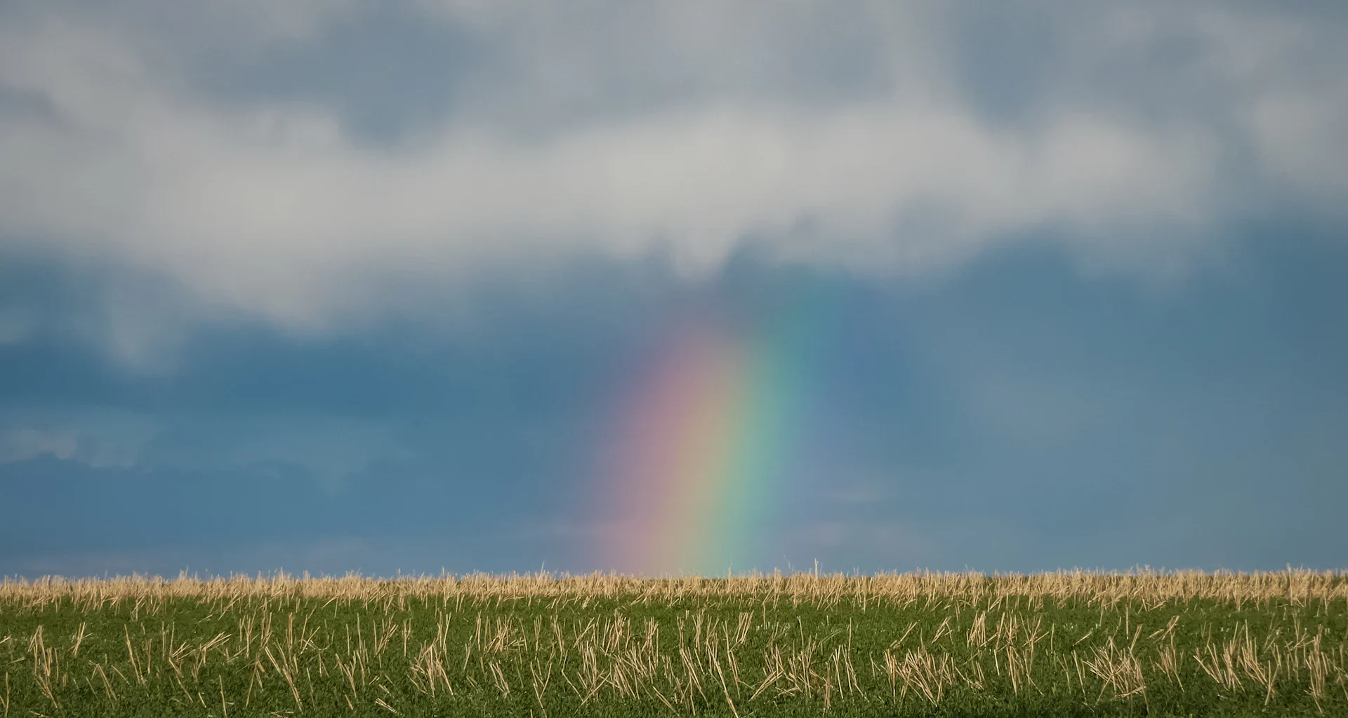 A rainbow in the sky over a field of grass