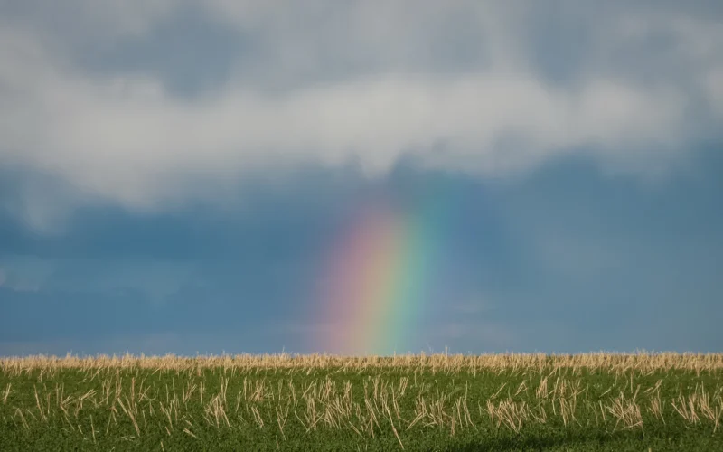 A rainbow in the sky over a field of grass