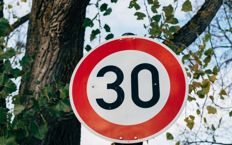 A red and white speed limit sign next to a tree