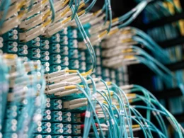 Fibre optic cables plugged into a patch panel in a data centre.