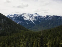 Green pine trees near snow covered mountain under cloudy sky during da