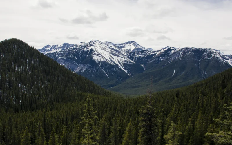 Green pine trees near snow covered mountain under cloudy sky during da
