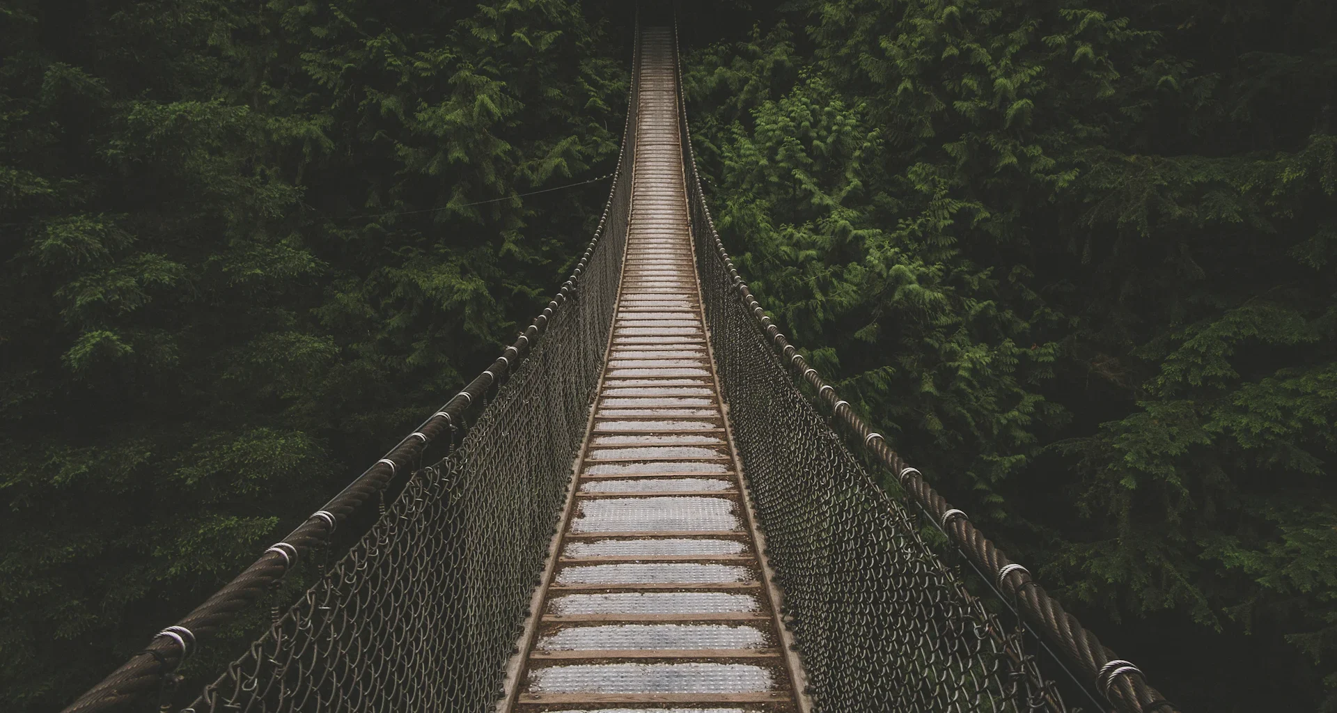 Hanging bridge lined with trees at daytime