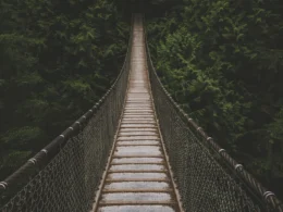 Hanging bridge lined with trees at daytime