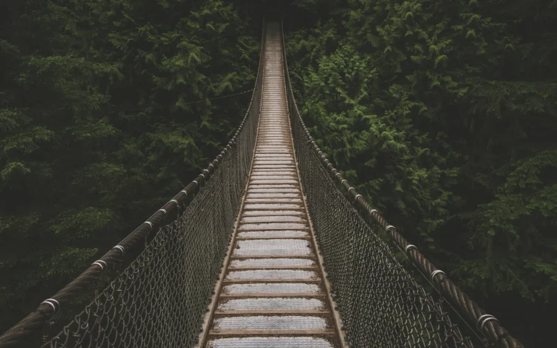 Hanging bridge lined with trees at daytime