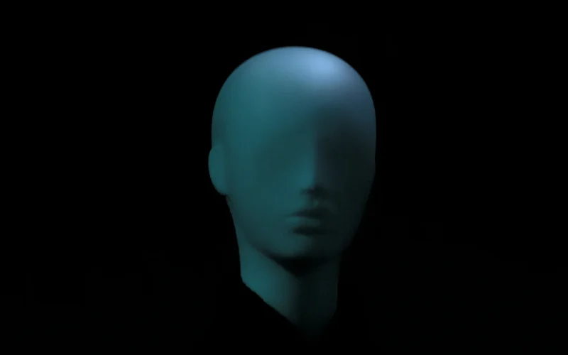 Head bust form