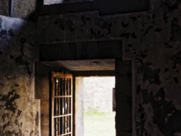 Open door leading to a grassy field