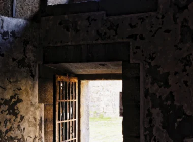 Open door leading to a grassy field