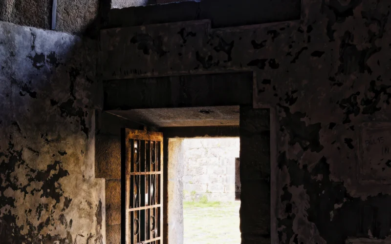 Open door leading to a grassy field