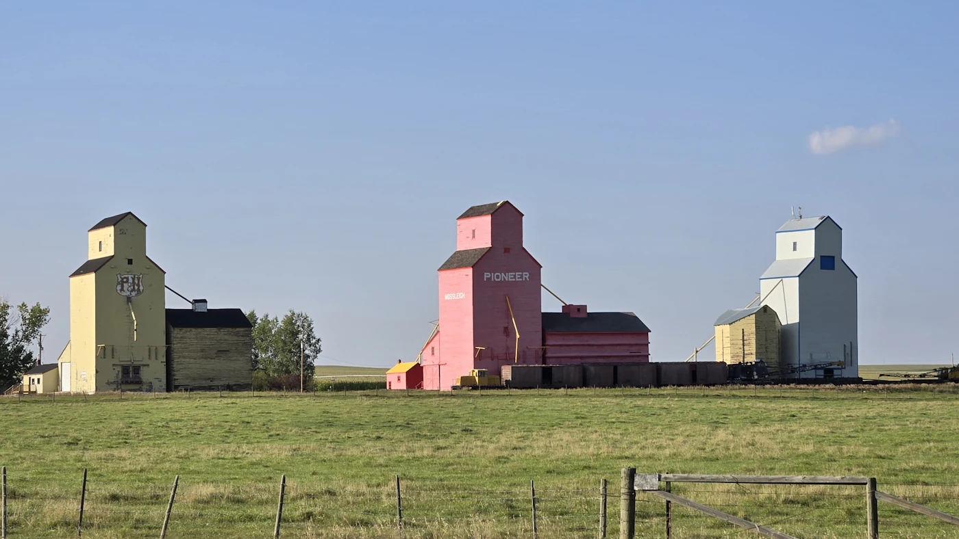 Three grain elevators painted yellow, pink and blue standing on open Prairie grassland under a clear sky