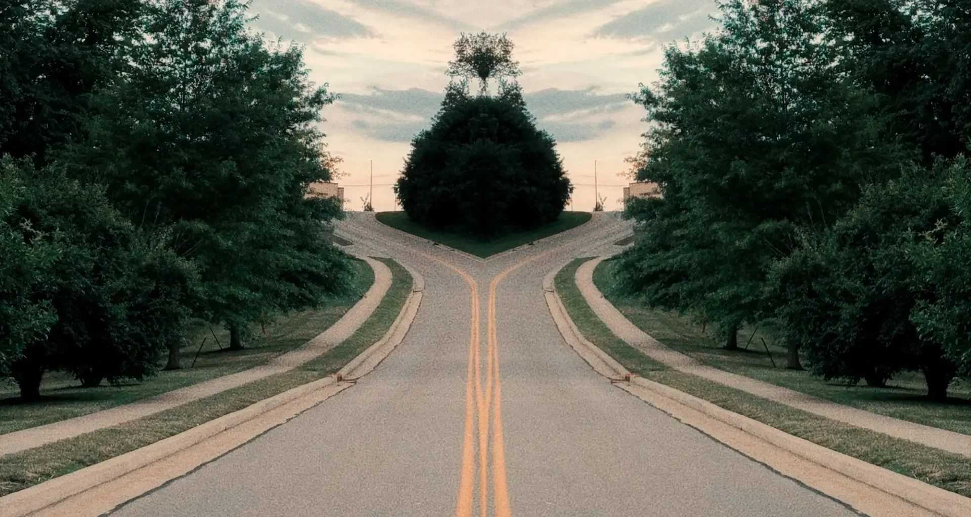 A symmetrical road splitting into two paths among trees