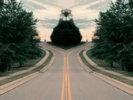 A symmetrical road splitting into two paths among trees