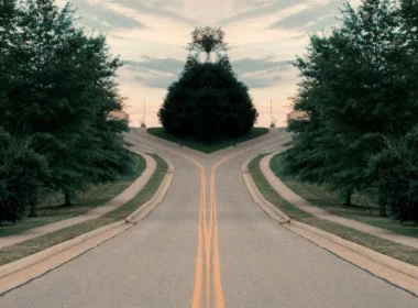 A symmetrical road splitting into two paths among trees