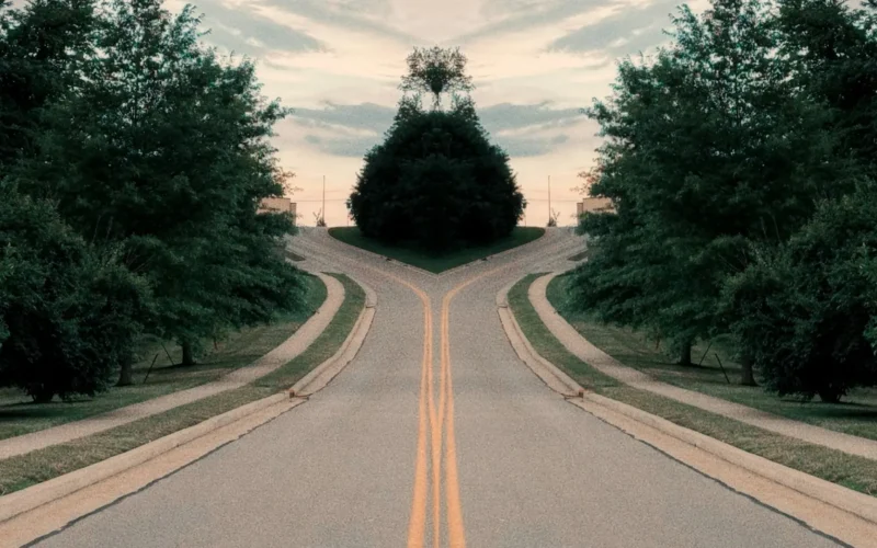 A symmetrical road splitting into two paths among trees