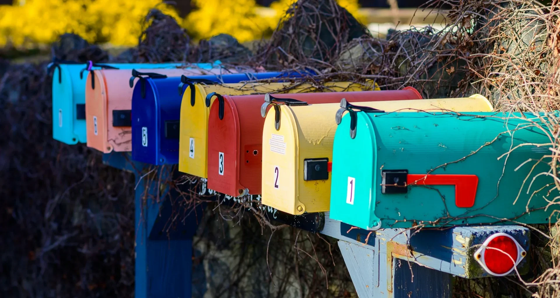 A row of colourful mailboxes beside a bush