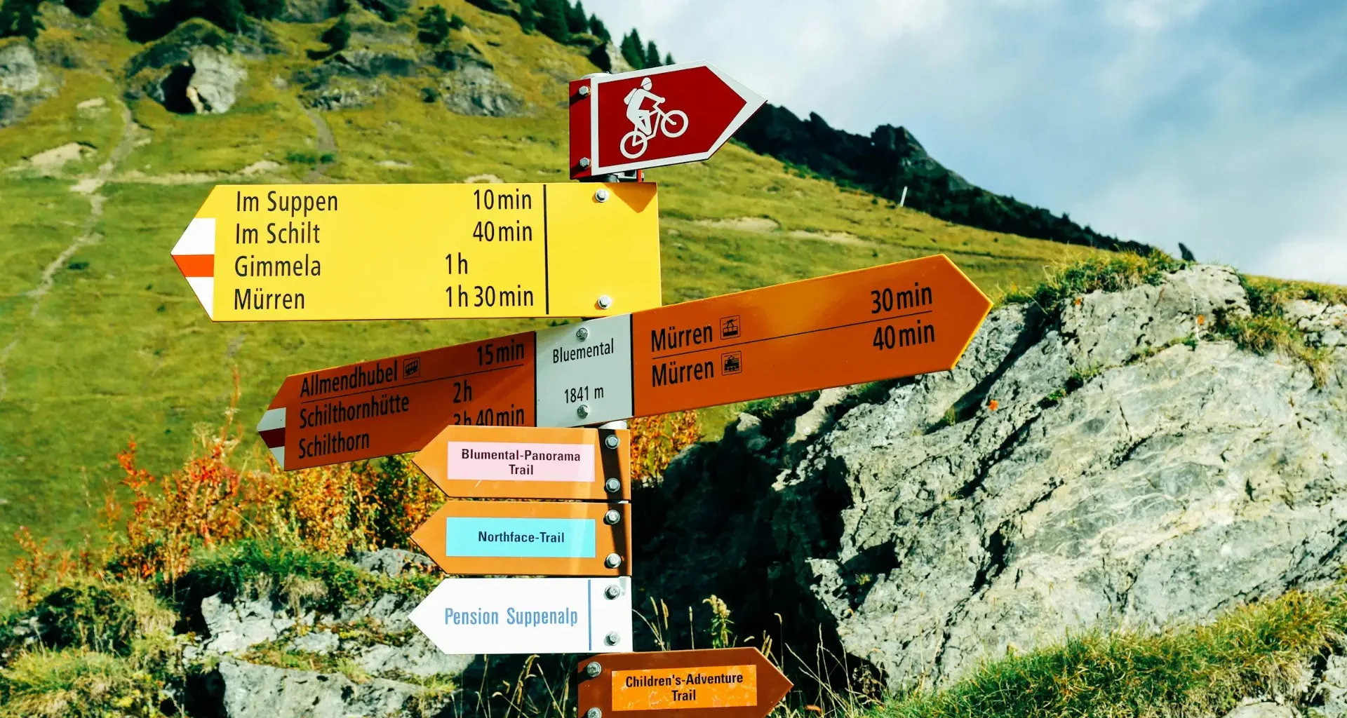 A signpost with several arrows pointing in different directions