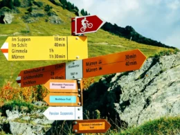 A signpost with several arrows pointing in different directions
