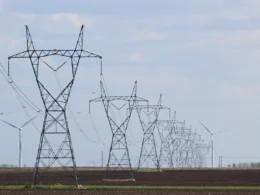 Row of high-voltage transmission towers crossing flat farmland under a pale sky.