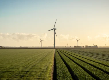 Wind turbines in a green field under blue sky