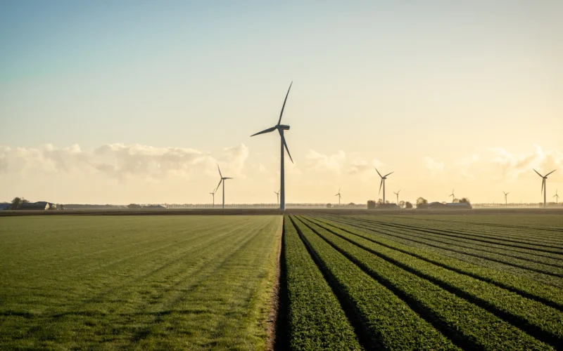 Wind turbines in a green field under blue sky